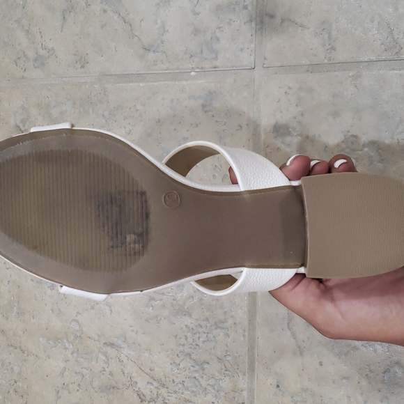 Lulu's Lanay Mules - Picture 6 of 7